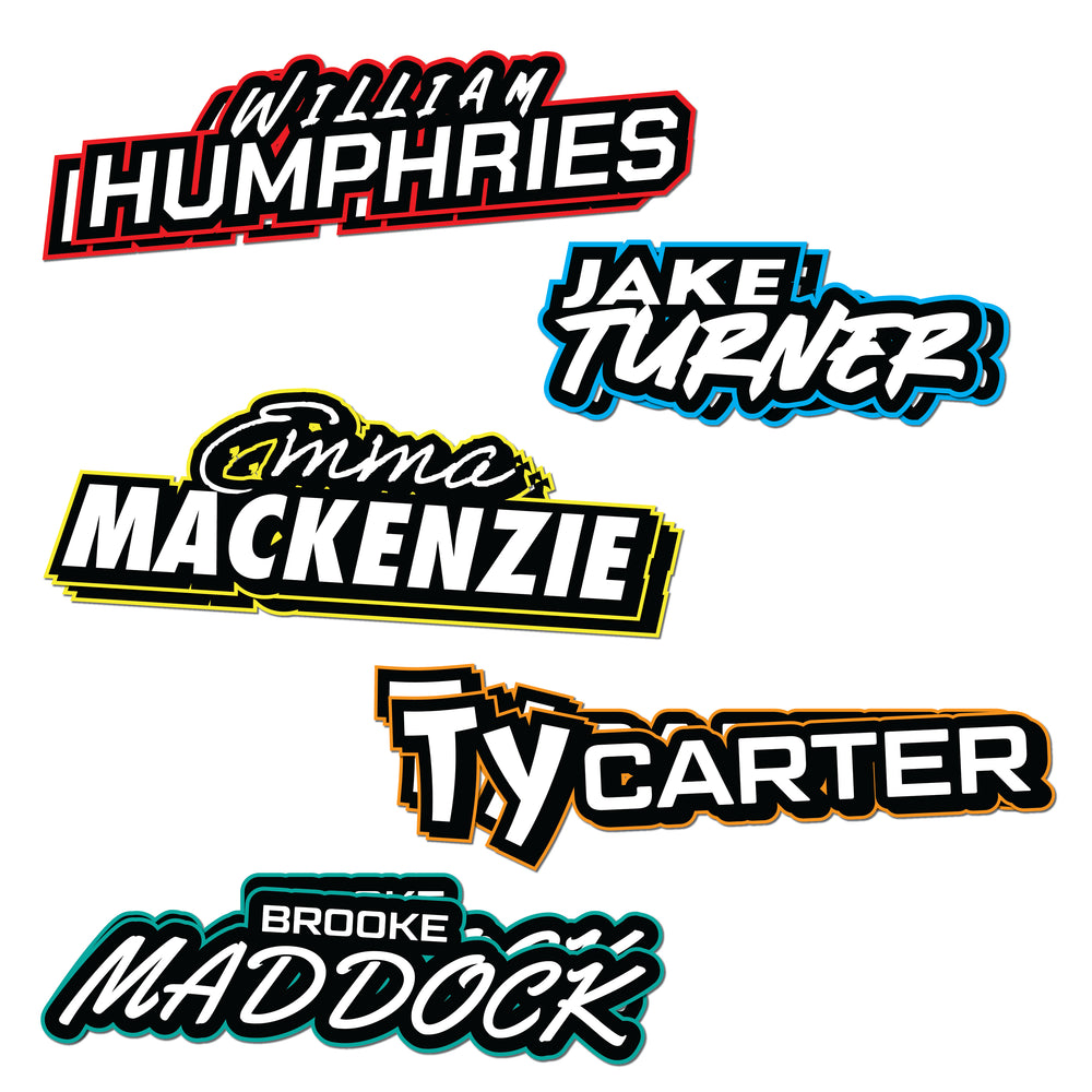 Driver Helmet Sticker